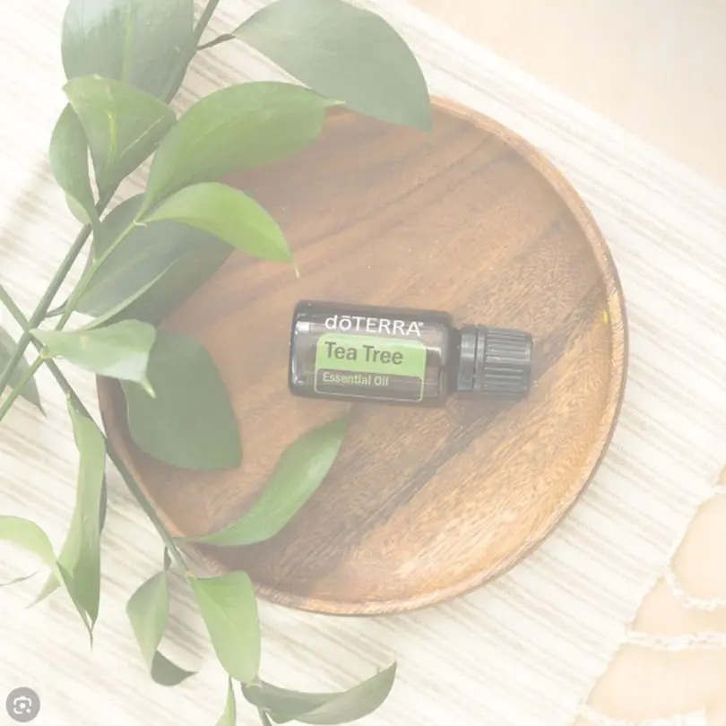 Traitement de l'acné avec l'huile essentielle d'arbre à thé de dōTERRA