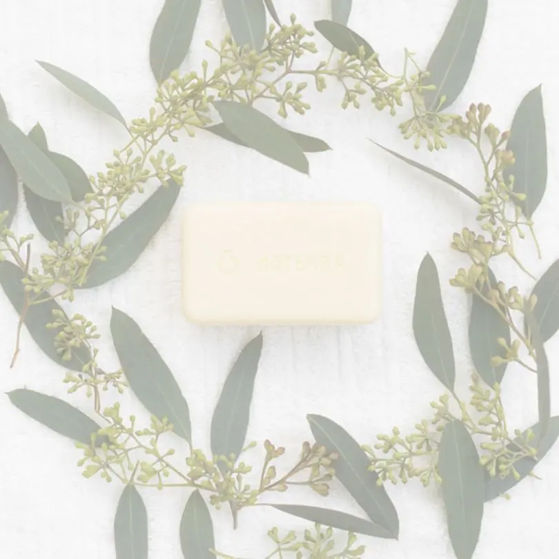 Solutions sans perturbateurs endocriniens de dōTERRA au CLME